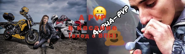 винт Лагань
