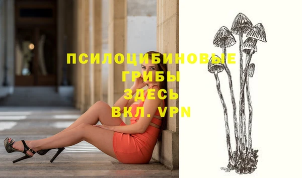 таблы Лабытнанги