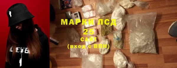 винт Лагань