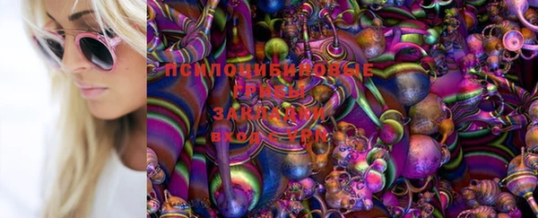 таблы Лабытнанги