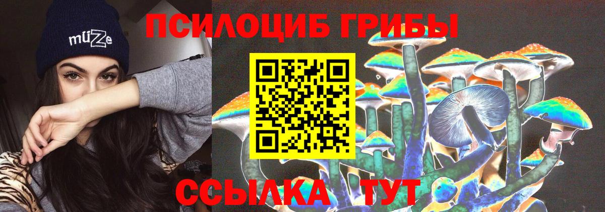 Псилоцибиновые грибы прущие грибы Набережные Челны