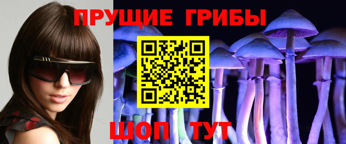 Набережные Челны  Псилоцибиновые грибы прущие грибы  Вход с VPN 